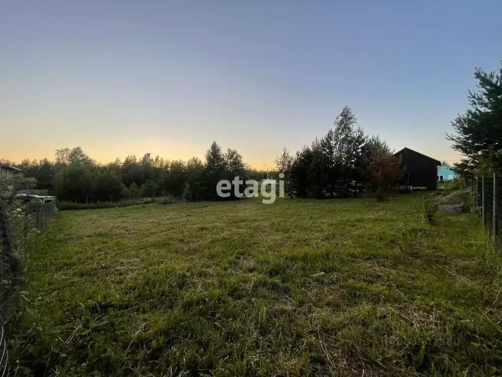 Участок в Ленинградская область, Ломоносовский район, Лебяженское ... - Фото 1