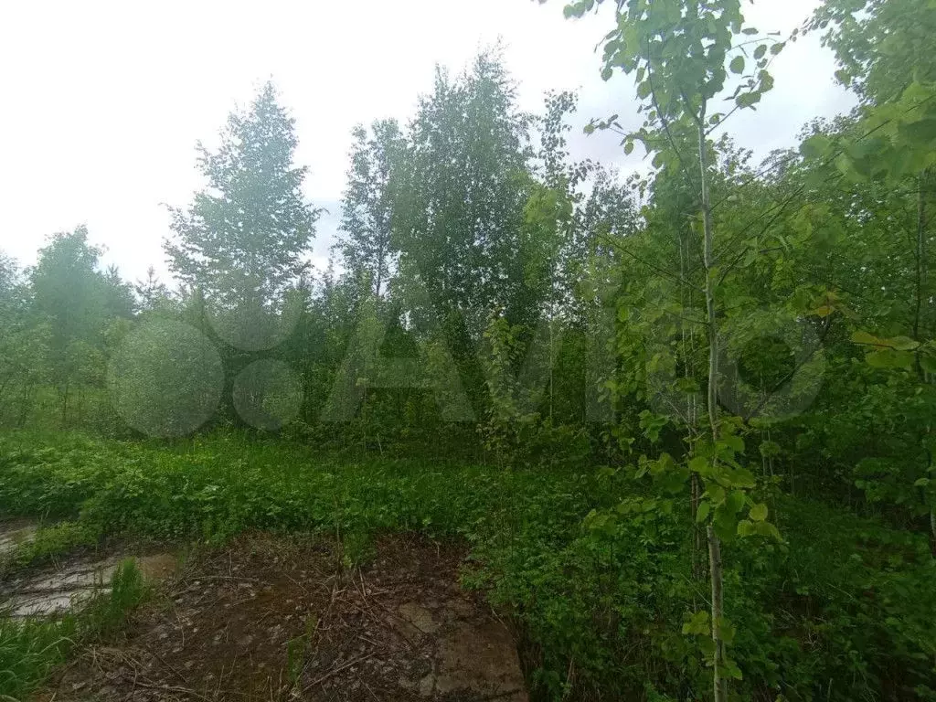 Участок 15,4 сот. (СНТ, ДНП) - Фото 1