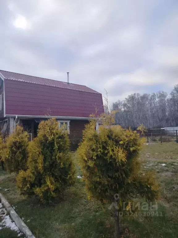 Дом в Челябинская область, Красноармейский муниципальный округ, с. ... - Фото 1