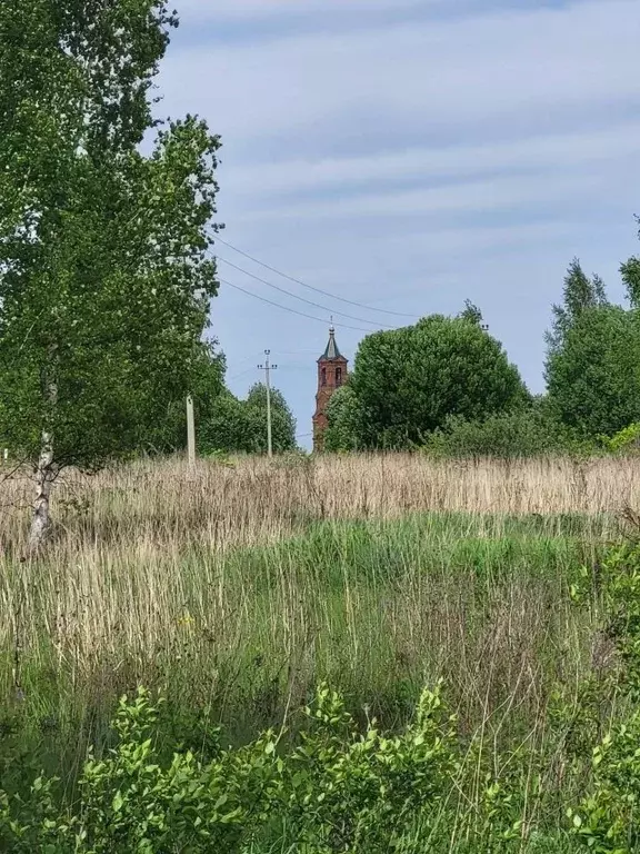 Участок в Владимирская область, Суздальский район, Павловское ... - Фото 1