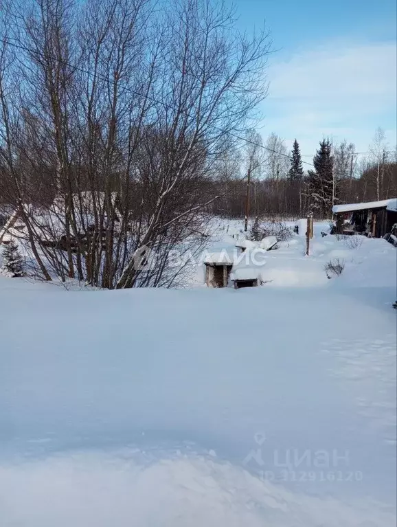 Участок в Пермский край, Краснокамский городской округ, с. Мысы ул. ... - Фото 1