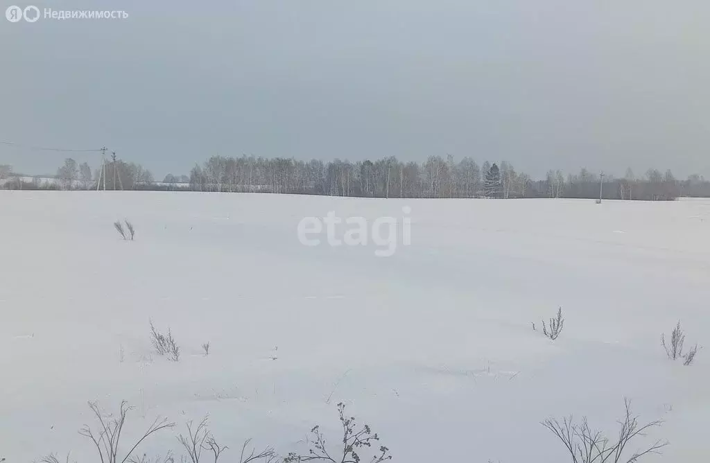 Участок в Камышловский район, Галкинское сельское поселение, село ... - Фото 1