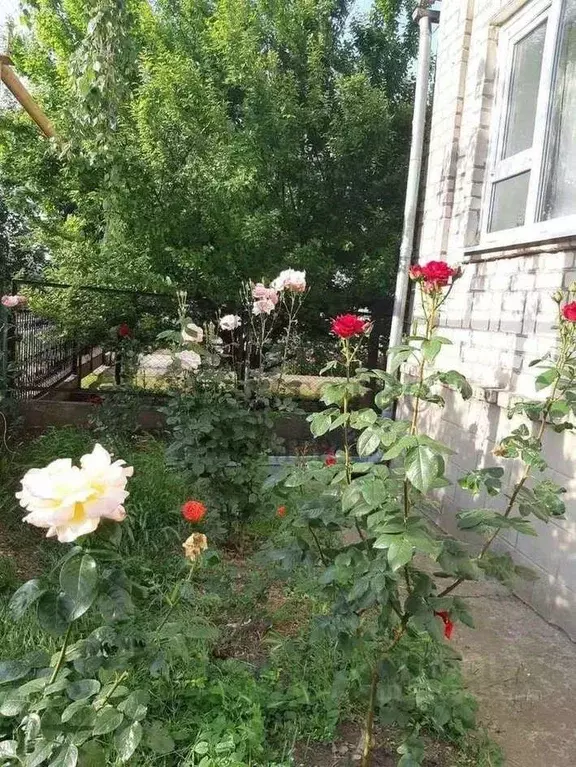 Дом в Краснодарский край, Анапа муниципальный округ, Анапская ст-ца ... - Фото 1