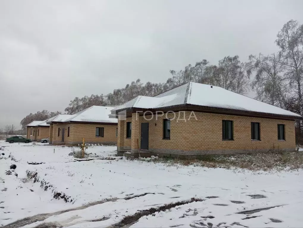 Дом в Алтайский край, Барнаул городской округ, пос. Черницк ул. ... - Фото 0