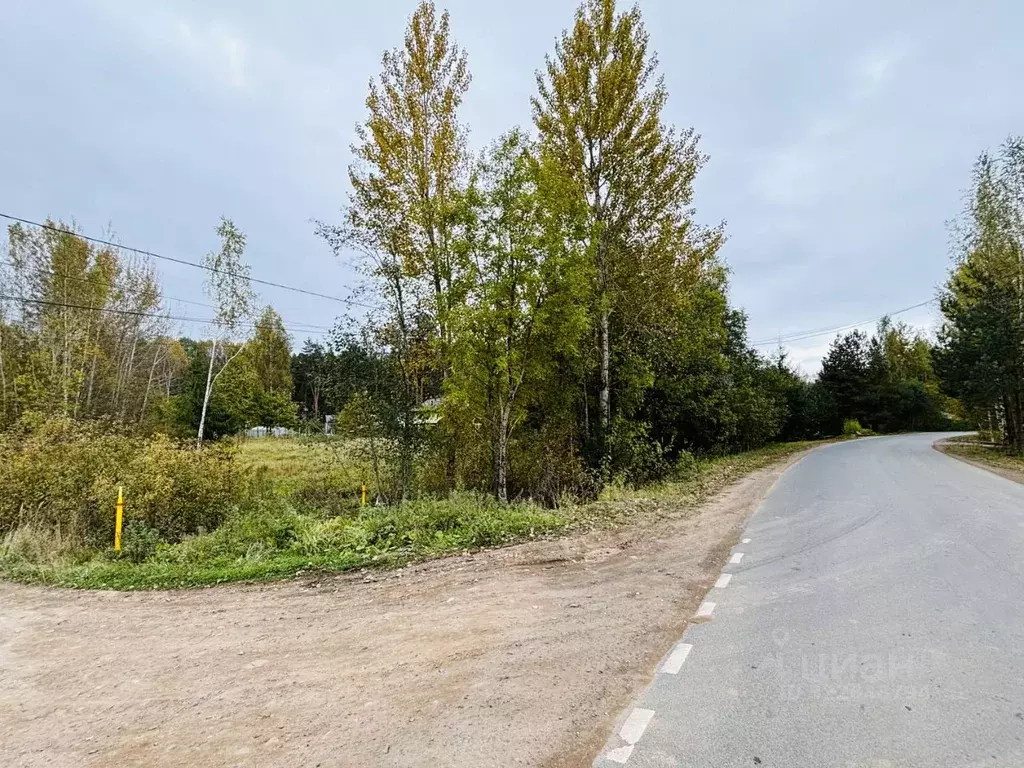 Участок в Новгородская область, Новгородский район, д. Савино ... - Фото 1