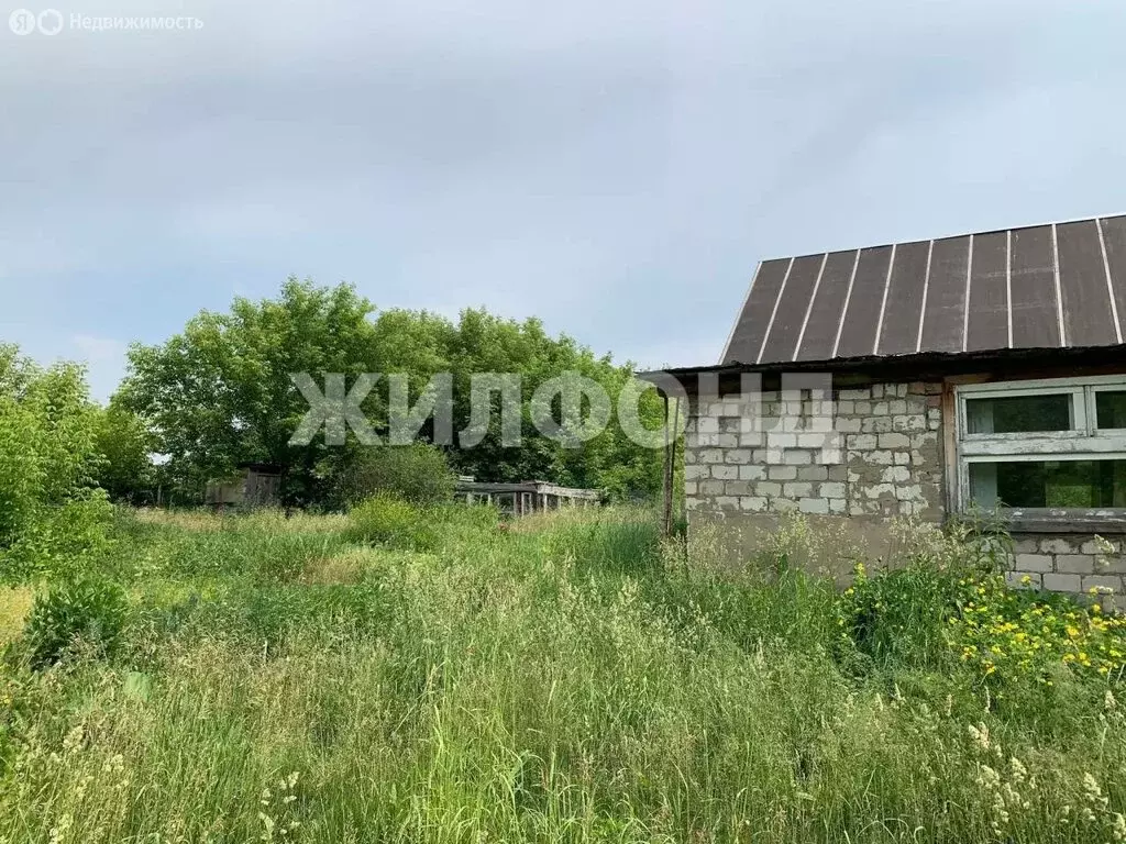 Участок в Алтайский край, городской округ Барнаул, посёлок Черницк (46 ... - Фото 1