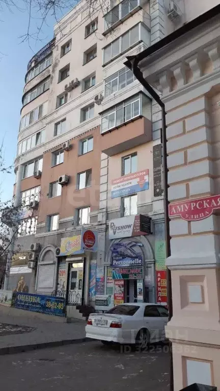 Помещение свободного назначения в Амурская область, Благовещенск ул. ... - Фото 2