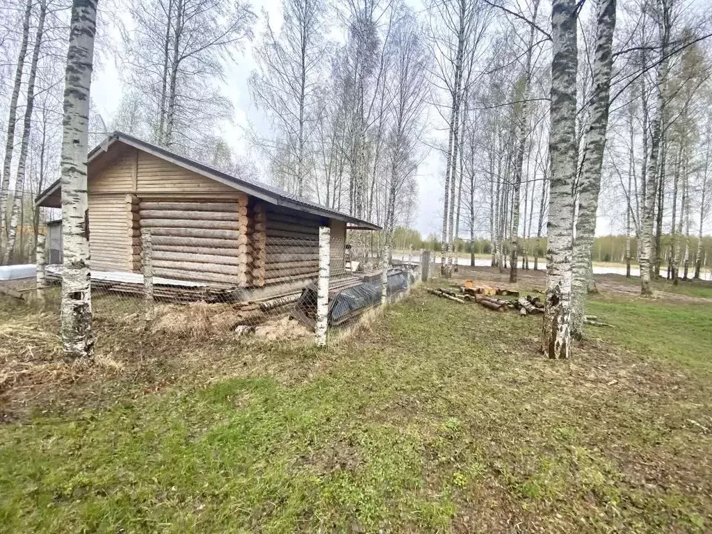 Участок в Костромская область, Красносельский район, Сидоровское ... - Фото 0