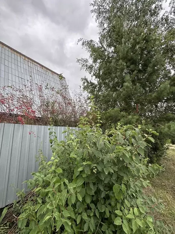 Дом в Челябинская область, Сосновский муниципальный округ, Полет-3 СНТ ... - Фото 1