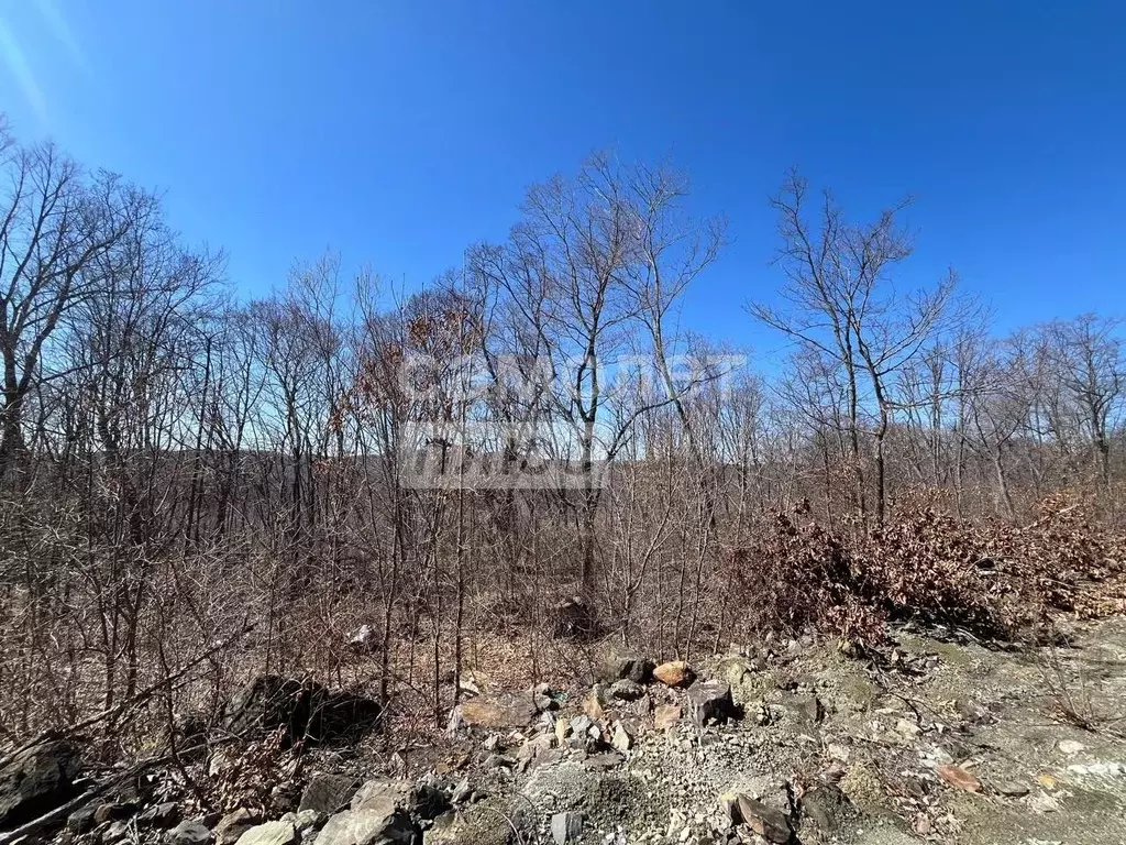 Участок в Приморский край, Фокино Вишневая ул., 11 (20.0 сот.) - Фото 2