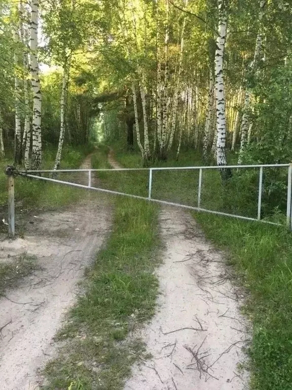 Участок в Рязанская область, Рязанский муниципальный округ, ... - Фото 1