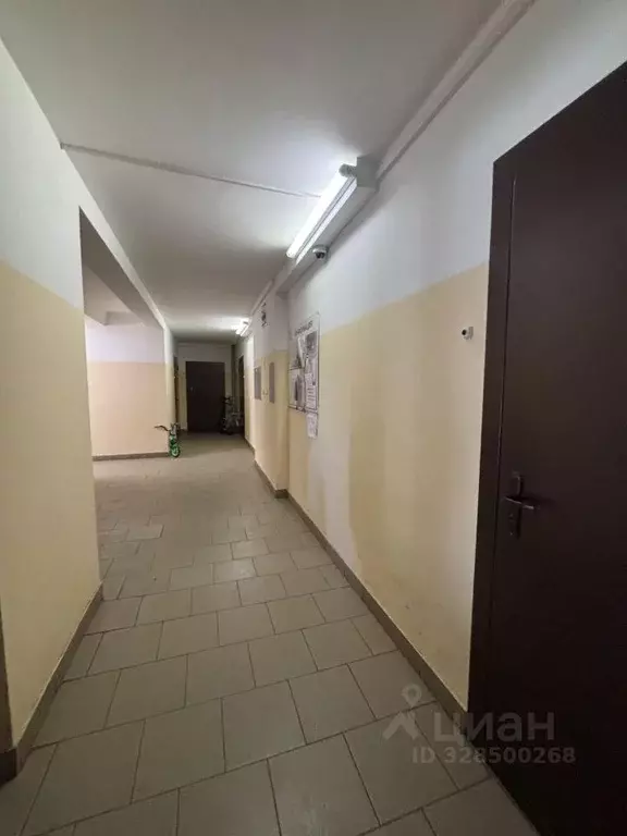 1-к кв. Нижегородская область, Нижний Новгород Бурнаковская ул., 75к1 ... - Фото 2