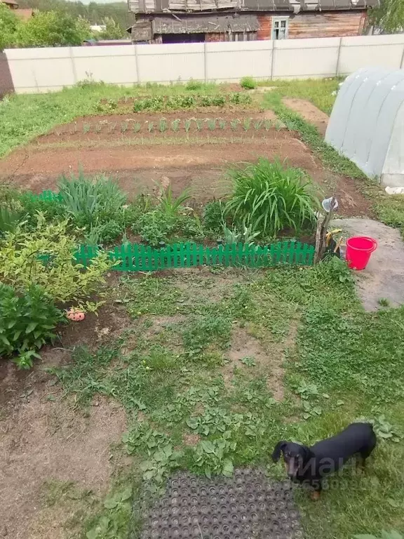 Участок в Пермский край, Пермь Нижнемостовая ул. (10.98 сот.) - Фото 1