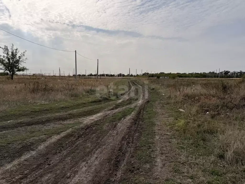 Участок в Ростовская область, Мясниковский район, с. Большие Салы ул. ... - Фото 2