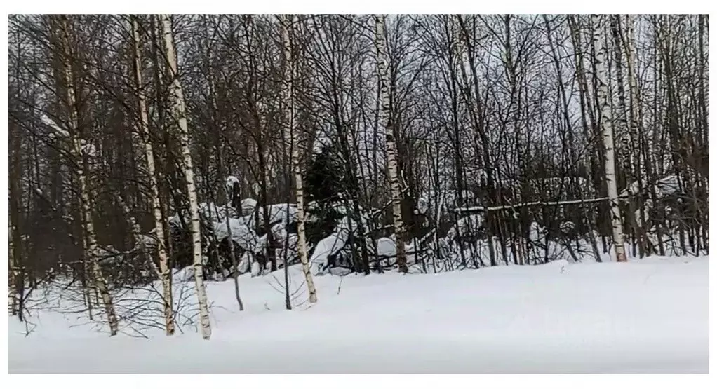 Участок в Московская область, Чехов муниципальный округ, д. Сидориха  ... - Фото 1