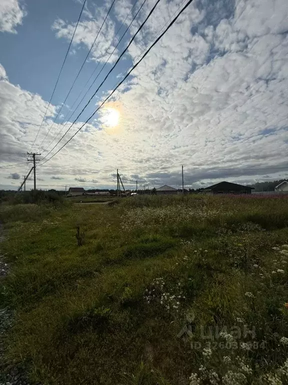 Участок в Свердловская область, Сысертский муниципальный округ, ... - Фото 0