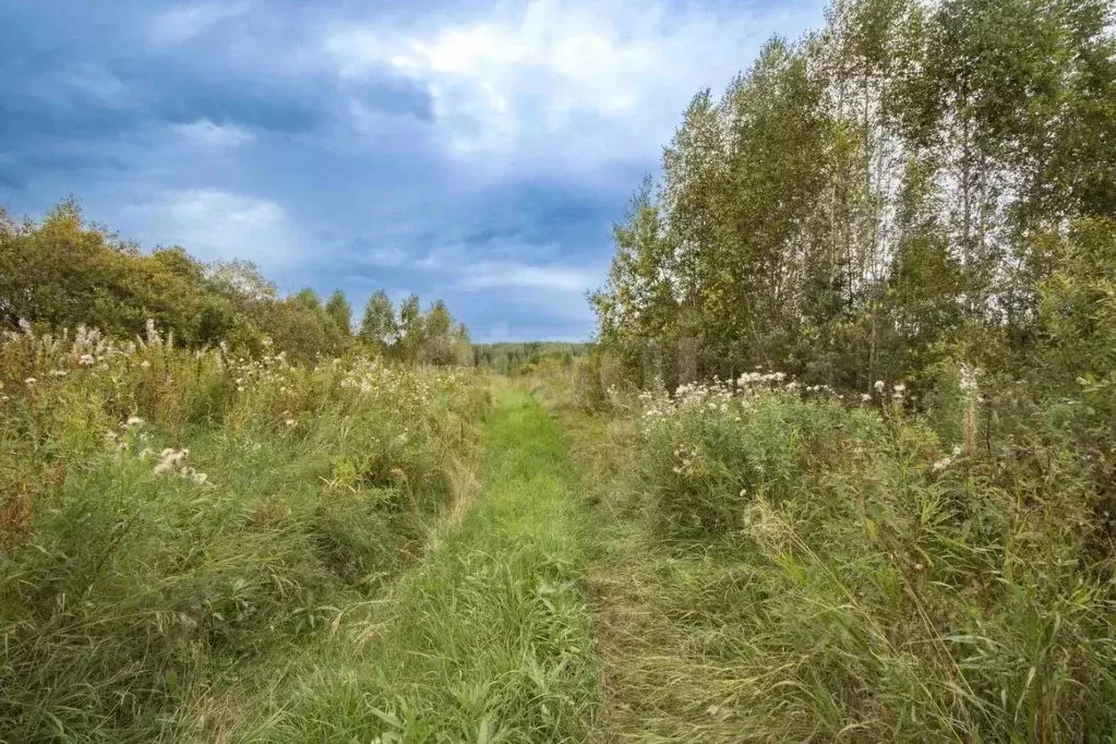 Участок в Тюменская область, Тюменский муниципальный округ, д. ... - Фото 1