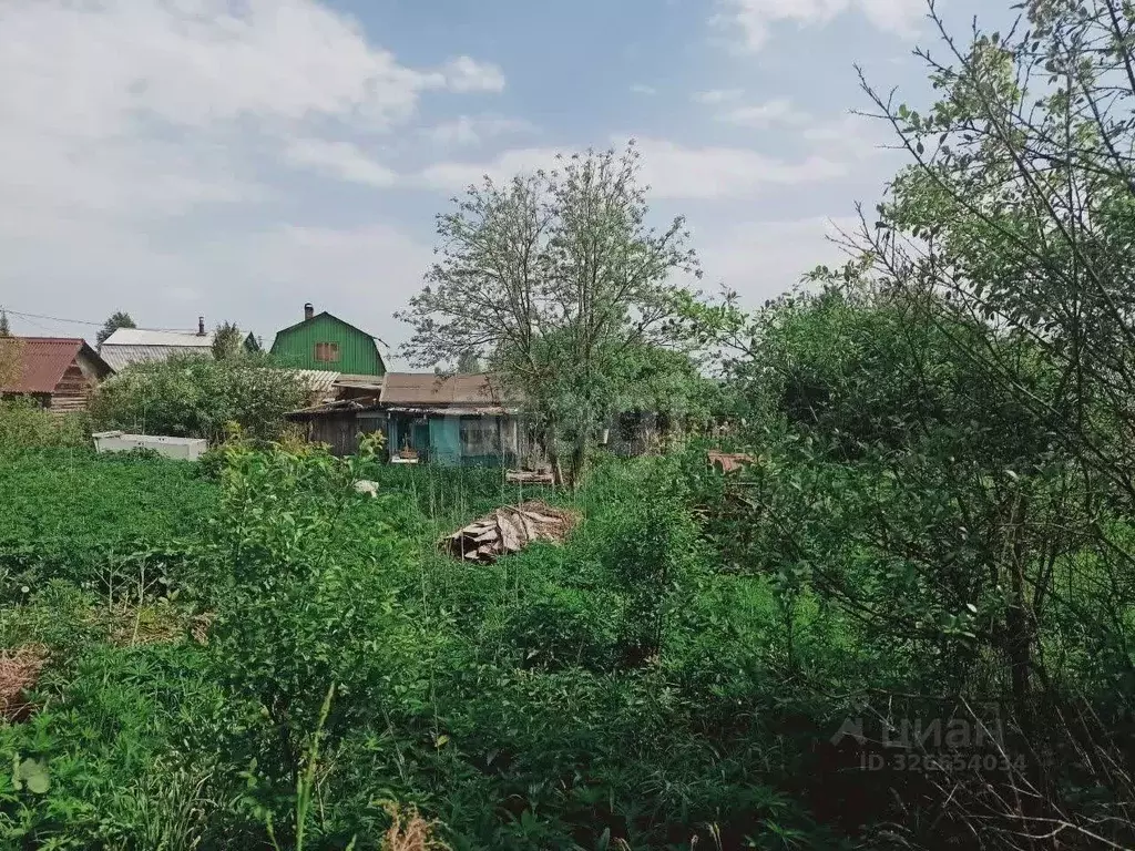 Участок в Кировская область, Юрьянский район, Загарское с/пос, ... - Фото 2