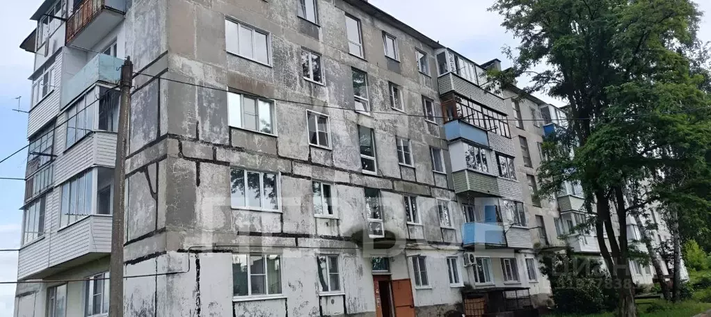 1-к кв. Рязанская область, Скопин Заречный мкр, ул. Полетаева, 3 (29.9 ... - Фото 0