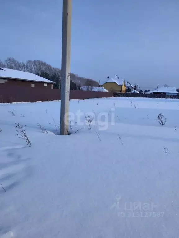 Участок в Кемеровская область, Кемеровский муниципальный округ, с. ... - Фото 1