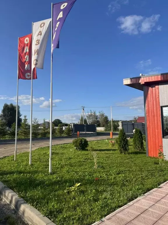 Участок в Московская область, Щелково городской округ, д. Малые ... - Фото 1