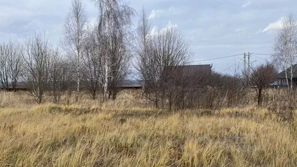 Участок в Московская область, Кашира городской округ, д. Тарасково  ... - Фото 0