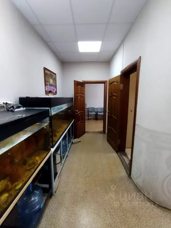 Офис в Чувашия, Чебоксары ул. Лебедева, 1А (85 м) - Фото 2