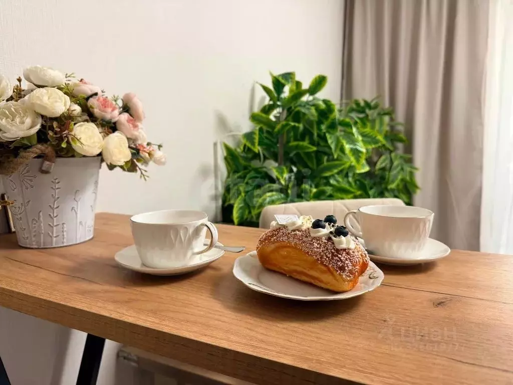 Студия Ленинградская область, Ломоносовский район, Виллозское ... - Фото 1