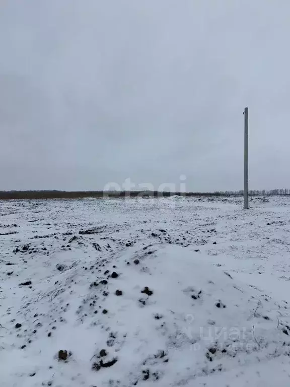 Участок в Белгородская область, Белгородский район, Головинское с/пос, ... - Фото 1