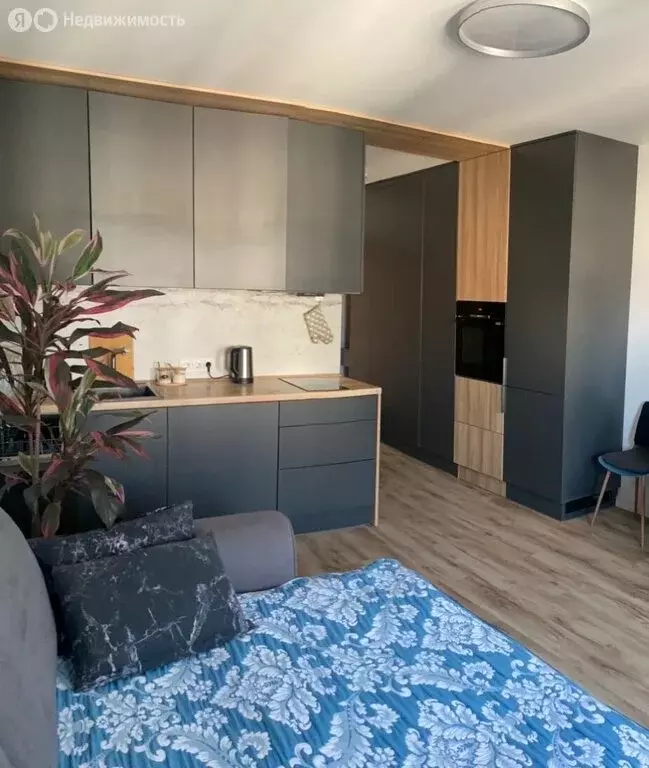 Квартира-студия: Виллозское городское поселение, посёлок Новогорелово, ... - Фото 1