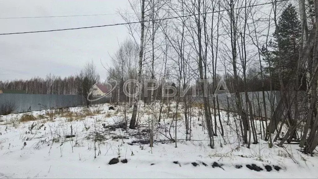 Участок в Тюменская область, Тюмень Россиянка садовое товарищество,  ... - Фото 0