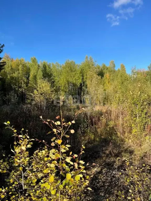 Участок в Ханты-Мансийский АО, Ханты-Мансийского муниципального района ... - Фото 2