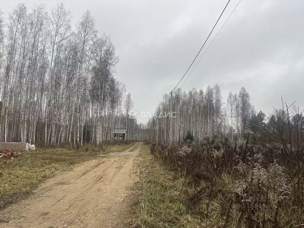 Участок в Владимирская область, Владимир ул. 2-я Сорокинская, 15 ... - Фото 0