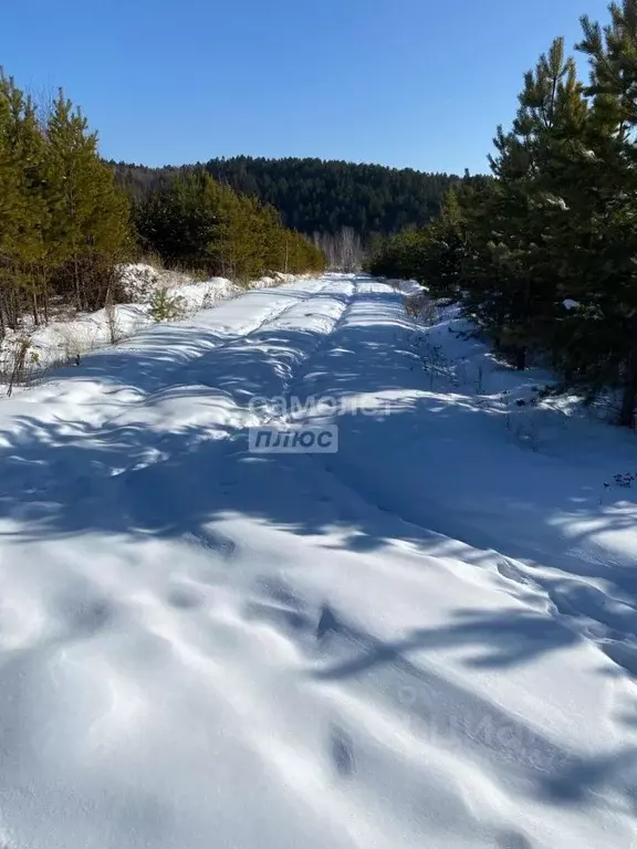 Участок в Иркутская область, Иркутский муниципальный округ, д. ... - Фото 2