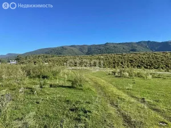 Участок в Усть-Канский район, село Ябоган (9923.76 м) - Фото 2