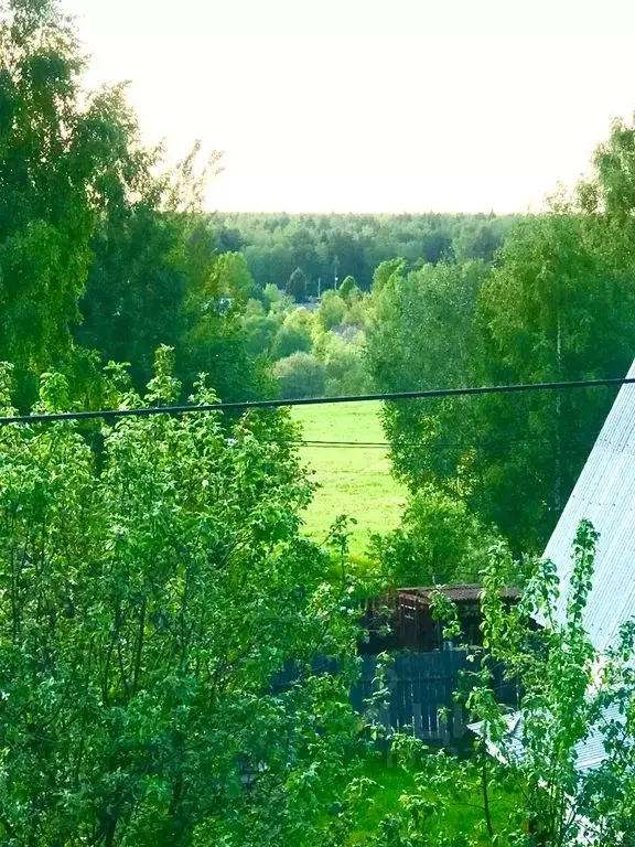 Дом в Московская область, Мытищи городской округ, д. Троице-Сельцо, ... - Фото 1