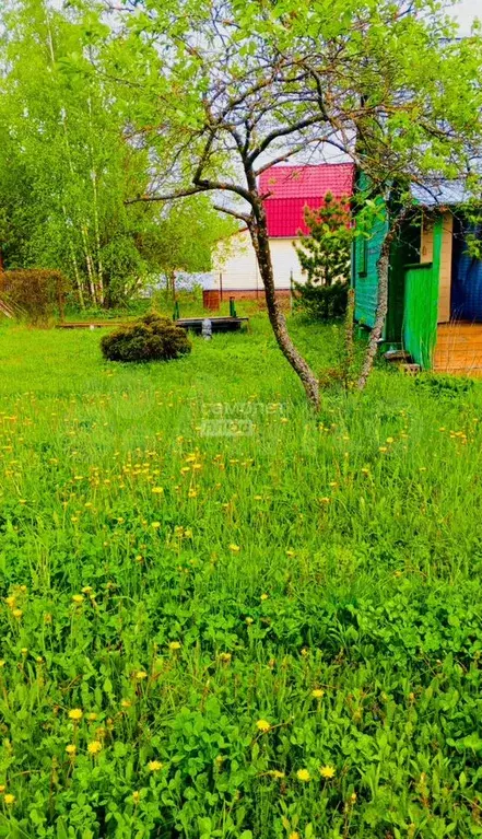 Участок 6 сот. (ИЖС) - Фото 1