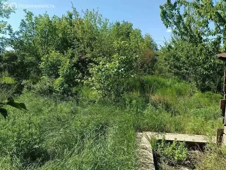Участок в Волгоград, СНТ Мичуринец (5.57 м) - Фото 0
