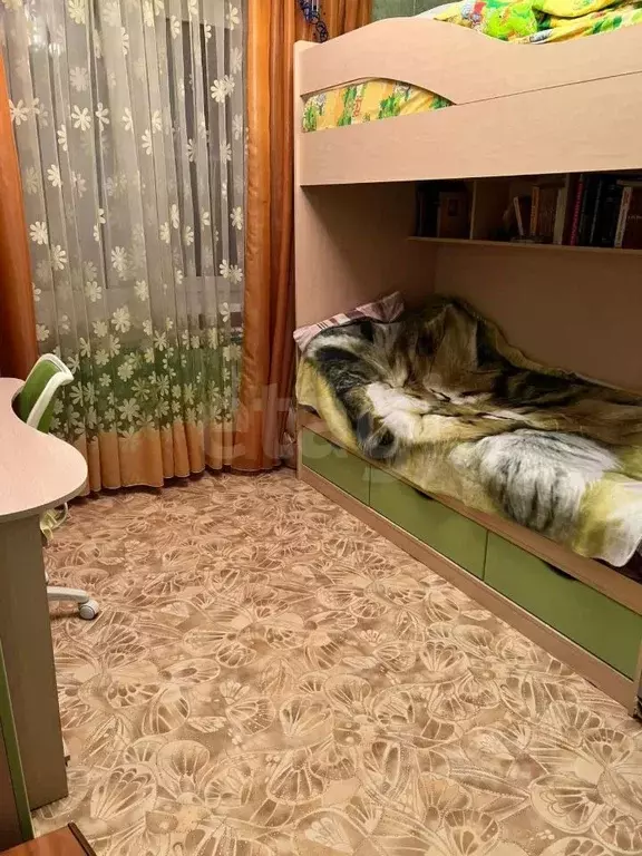 3-к кв. Владимирская область, Ковров ул. Грибоедова, 7/3 (60.0 м) - Фото 1