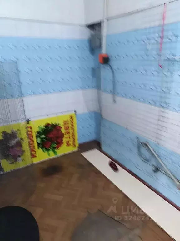 Помещение свободного назначения в Северная Осетия, Владикавказ ул. ... - Фото 2