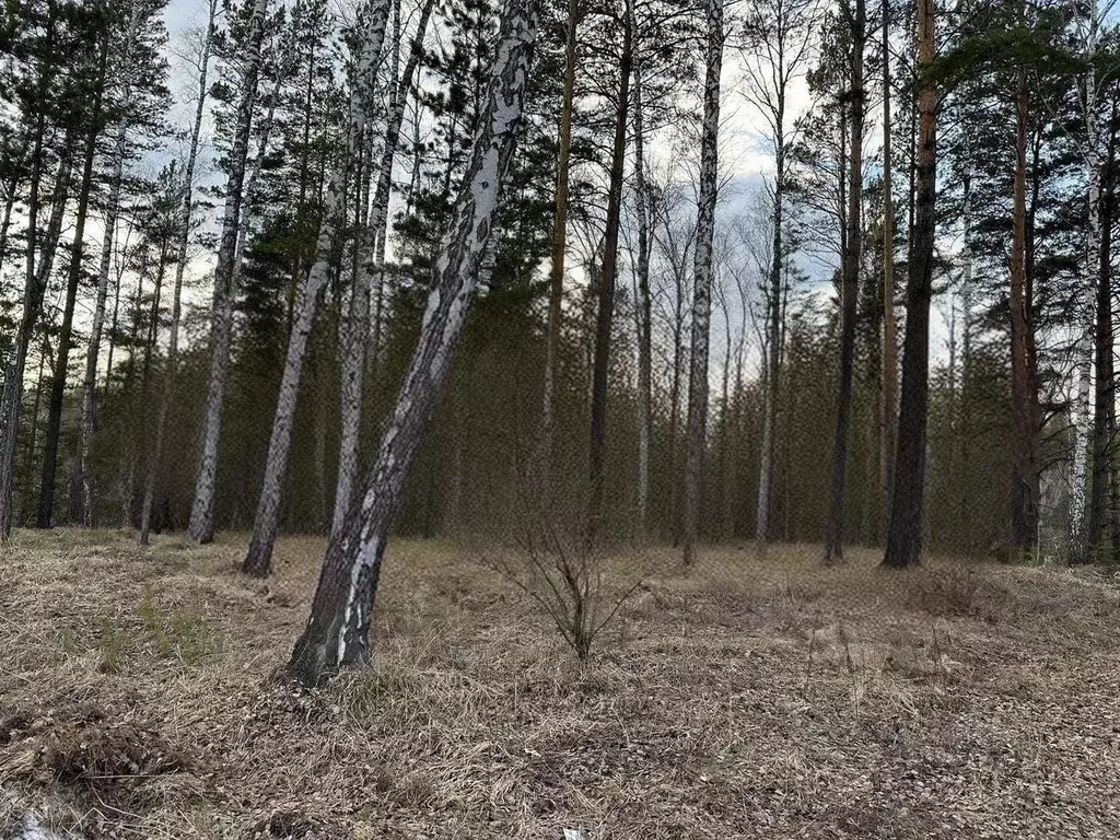 Участок в Новосибирская область, Новосибирский район, Барышевский ... - Фото 0