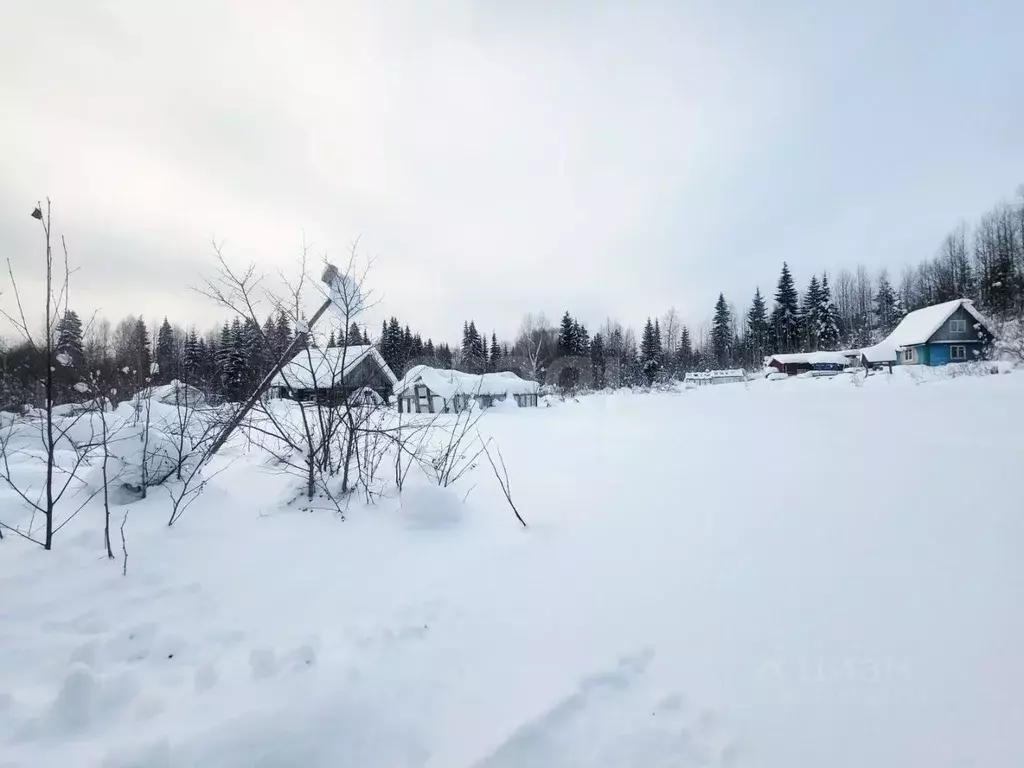 Участок в Коми, Сыктывдинский район, Выльгорт муниципальное ... - Фото 1