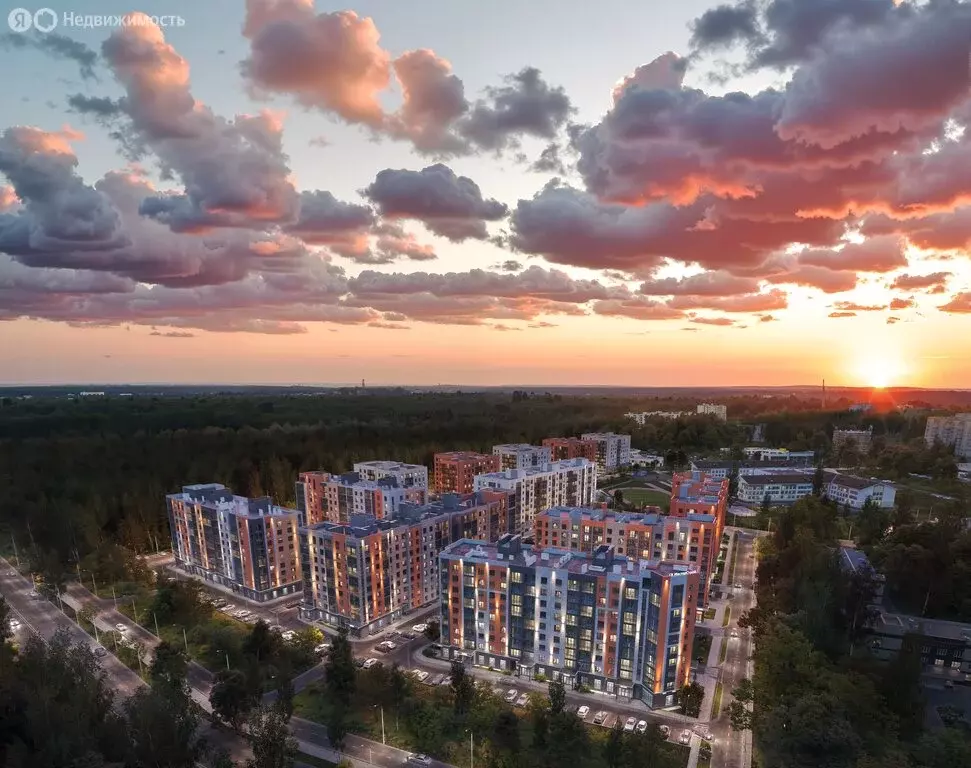 2-комнатная квартира: Кострома, улица Валентины Плетневой, 3 (56.3 м) - Фото 1