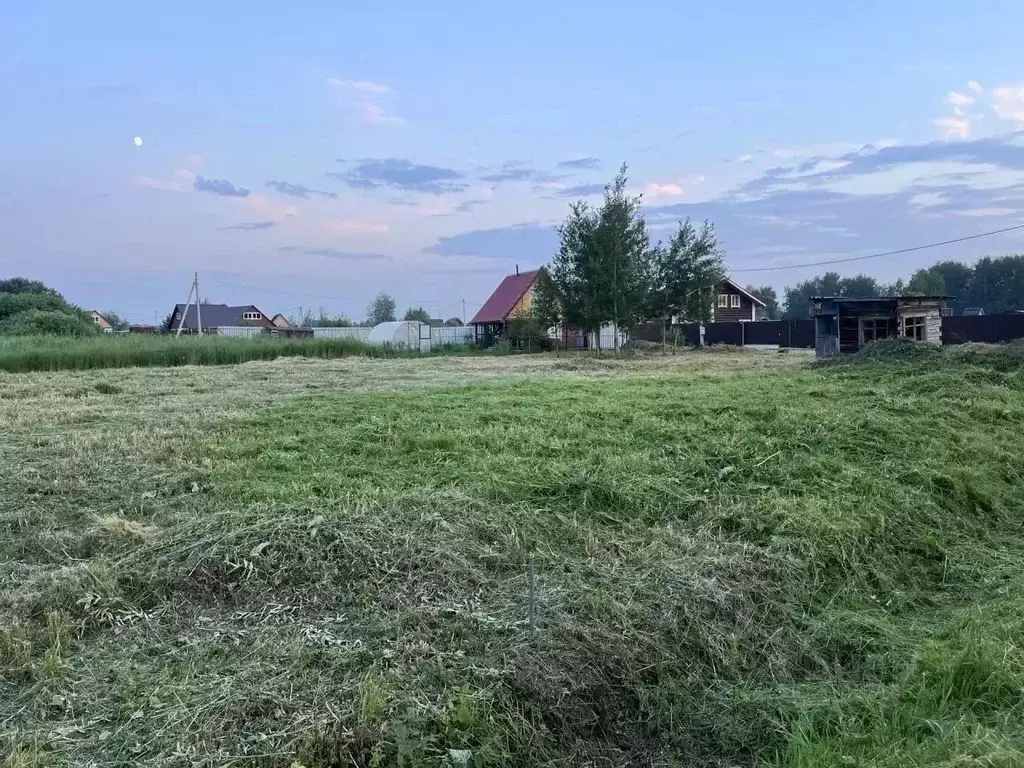 Участок в Новосибирская область, Колыванский район, Север ТСН 353 ... - Фото 1