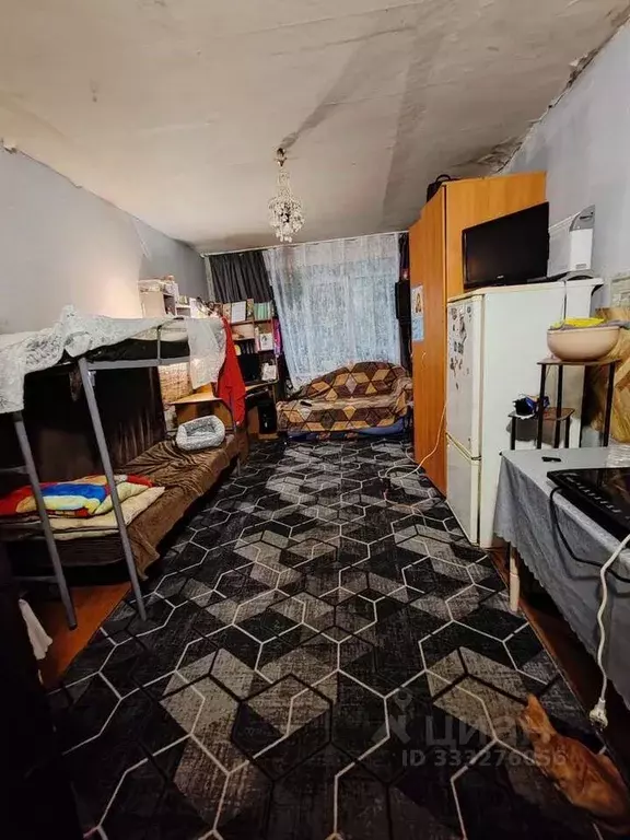Комната Чувашия, Новочебоксарск Молодежная ул. (17.0 м) - Фото 1