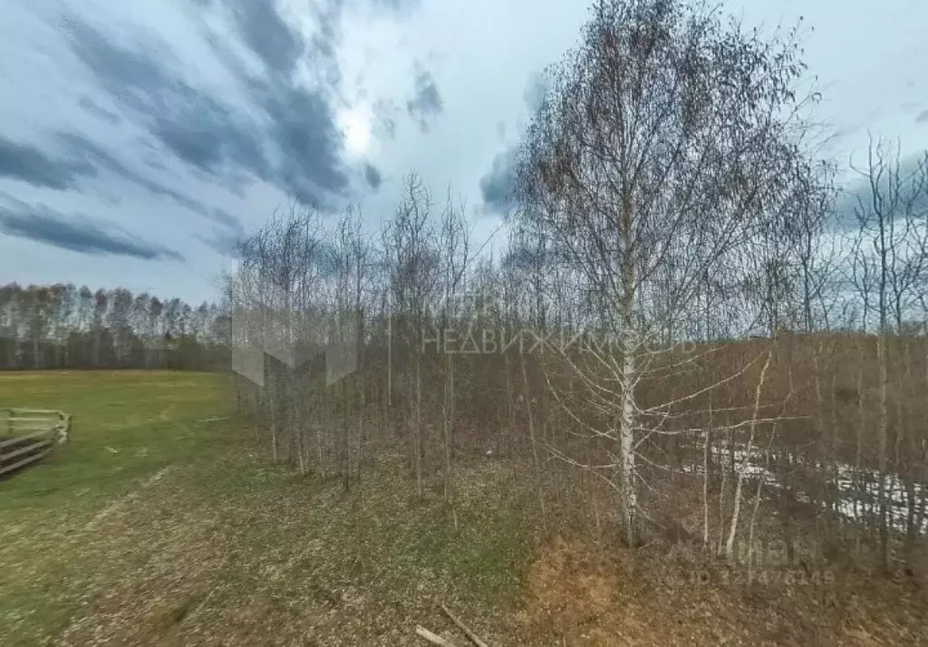 Участок в Тюменская область, Нижнетавдинский муниципальный округ, ... - Фото 1