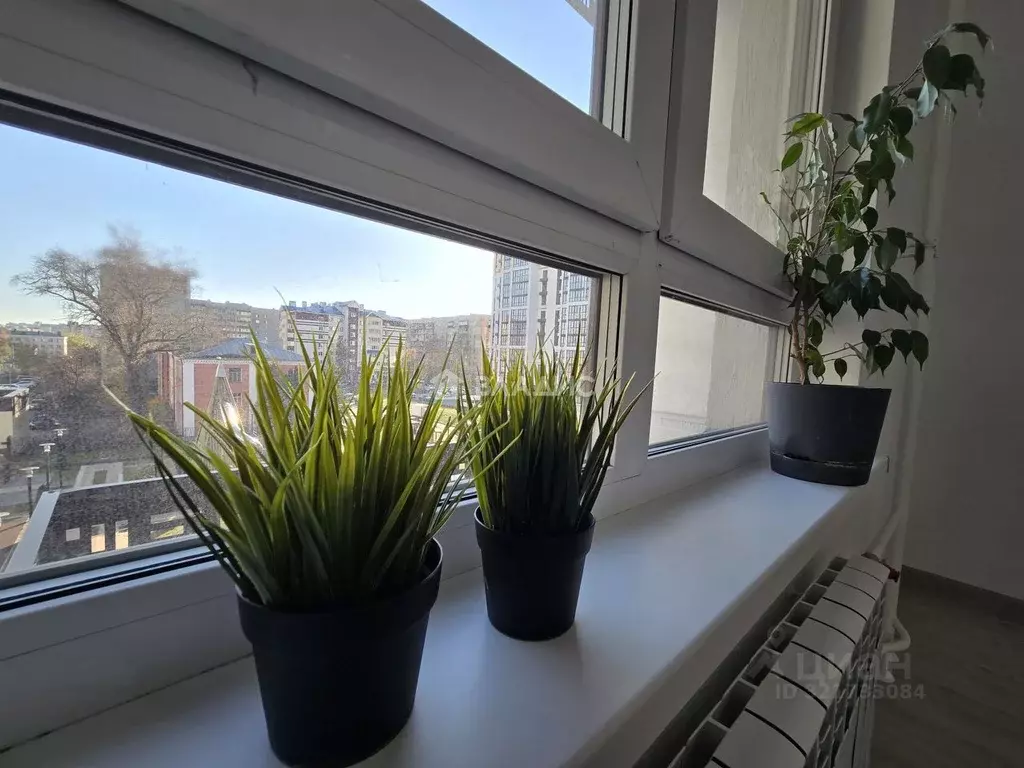 2-к кв. Пензенская область, Пенза ул. Шмидта, 3к1 (34.0 м) - Фото 1