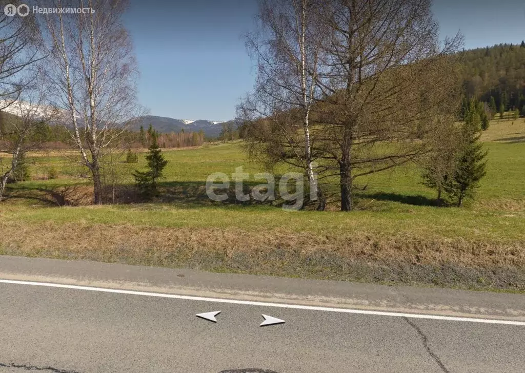 Участок в Шебалинский район, село Топучая (203.33 м) - Фото 2