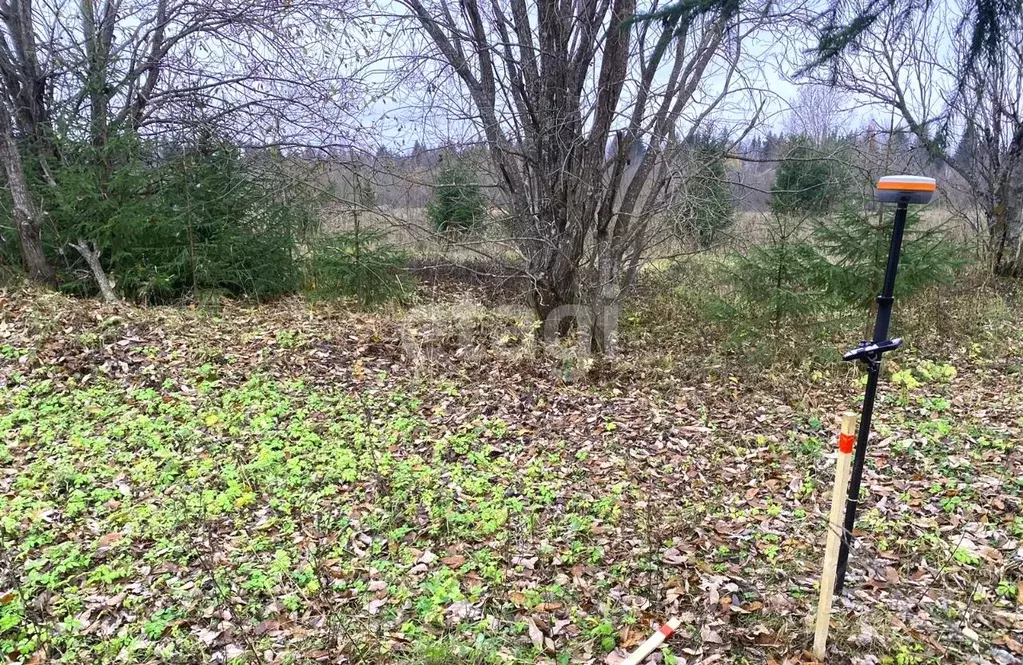 Участок в Вологодская область, Кирилловский муниципальный округ, д. ... - Фото 1