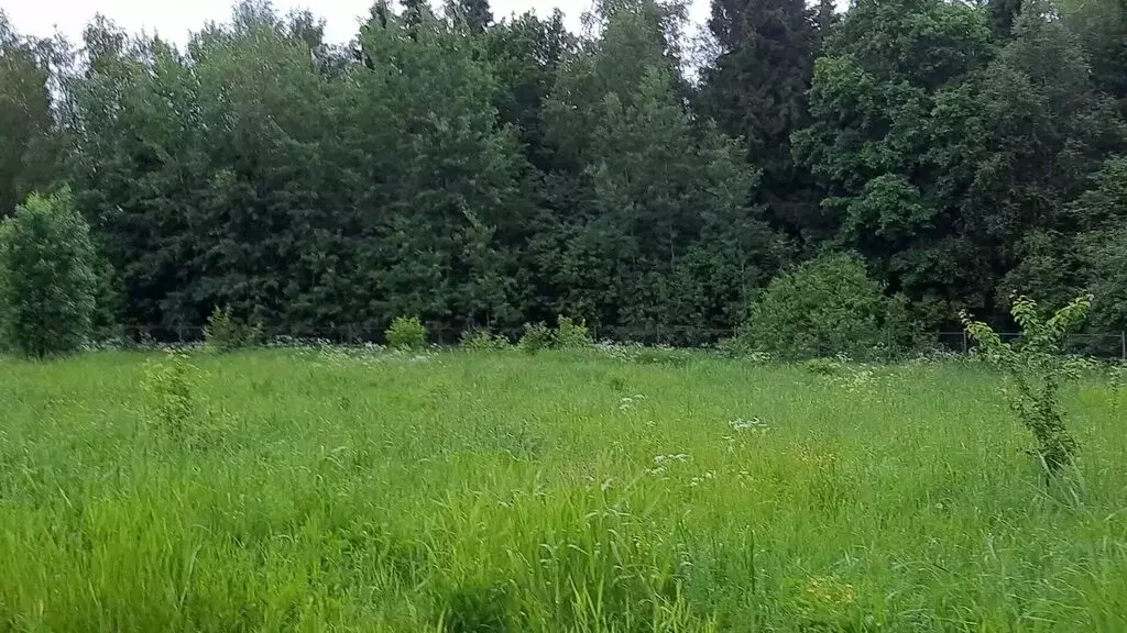 Участок в Сергиево-Посадский городской округ, ДНП Дивный (7 м) - Фото 2